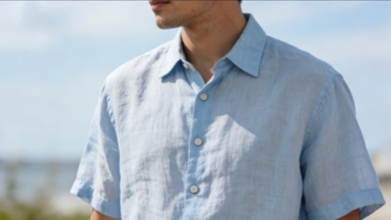 Ramie Fabric: A Complete Guide to Its Properties and Uses